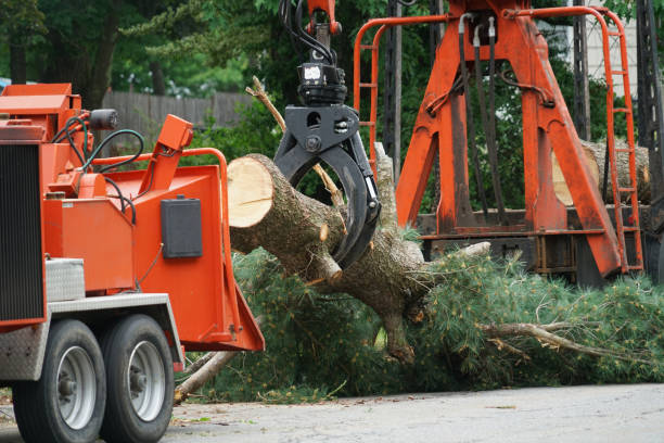 Lawn Renovation and Restoration in Woonsocket, RI